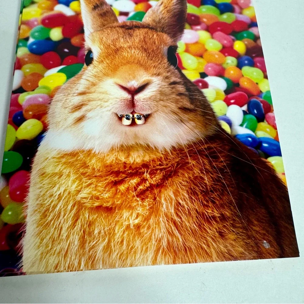 4 Avanti Greeting cards -bunny in braces with colorful jellybeans. Easter card